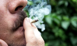 fumat iarba marijuana joint foto shutterstock