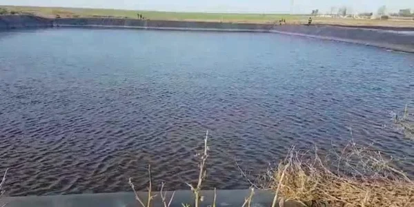 5dbfdec95163ec4271abf810 jpg