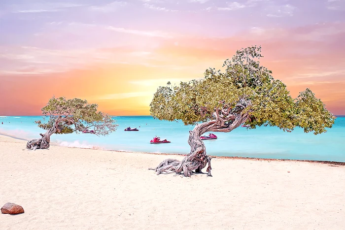 Plaja Eagle,  din Aruba