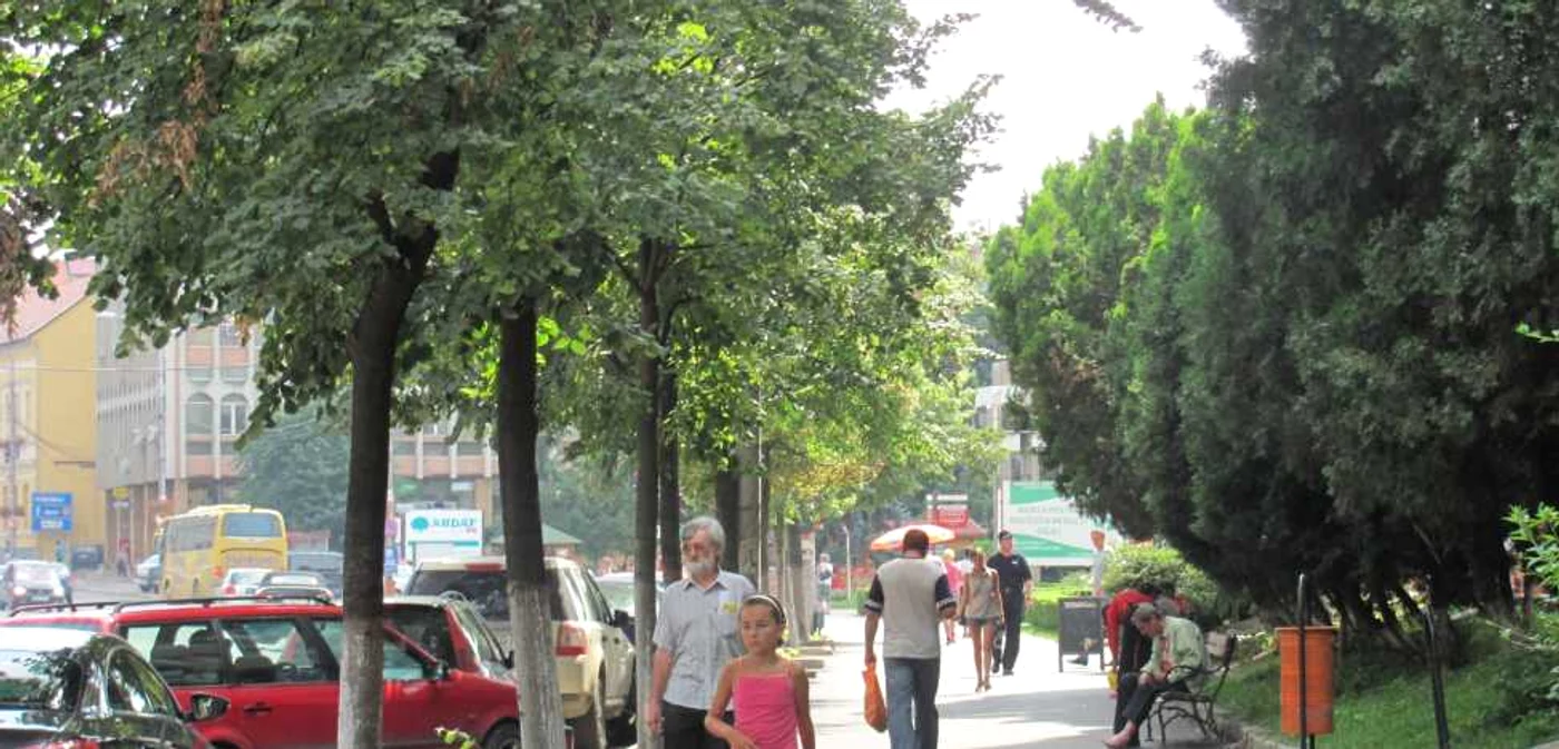 Populaţia Sălajului a scăzut în nouă ani cu aproximativ 25.000 de locuitori