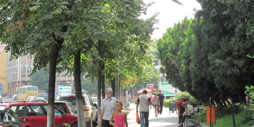 Populaţia Sălajului a scăzut în nouă ani cu aproximativ 25.000 de locuitori