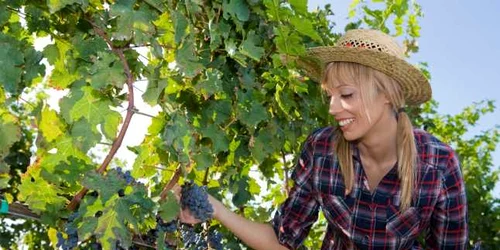 tanara vie FOTO Shutterstock