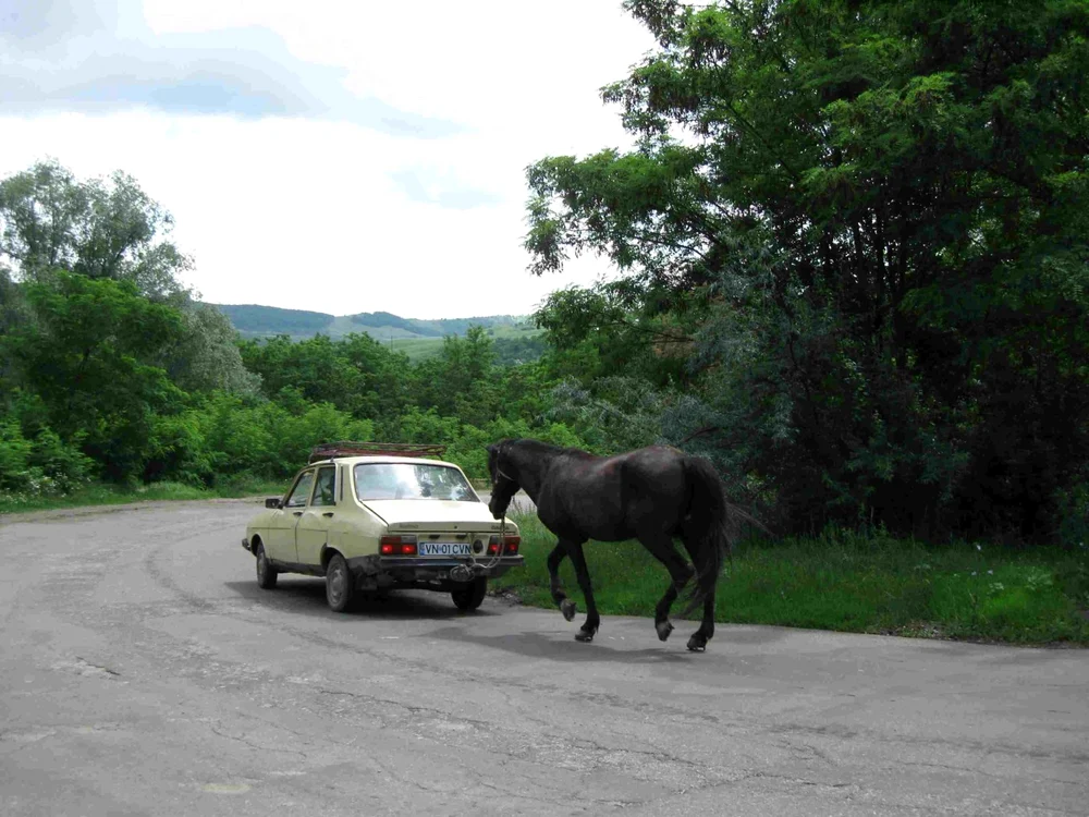 Astfel de imagini pot fi văzute cât mai des pe şosele
