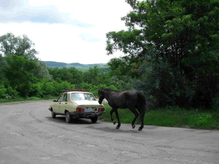 Astfel de imagini pot fi văzute cât mai des pe şosele