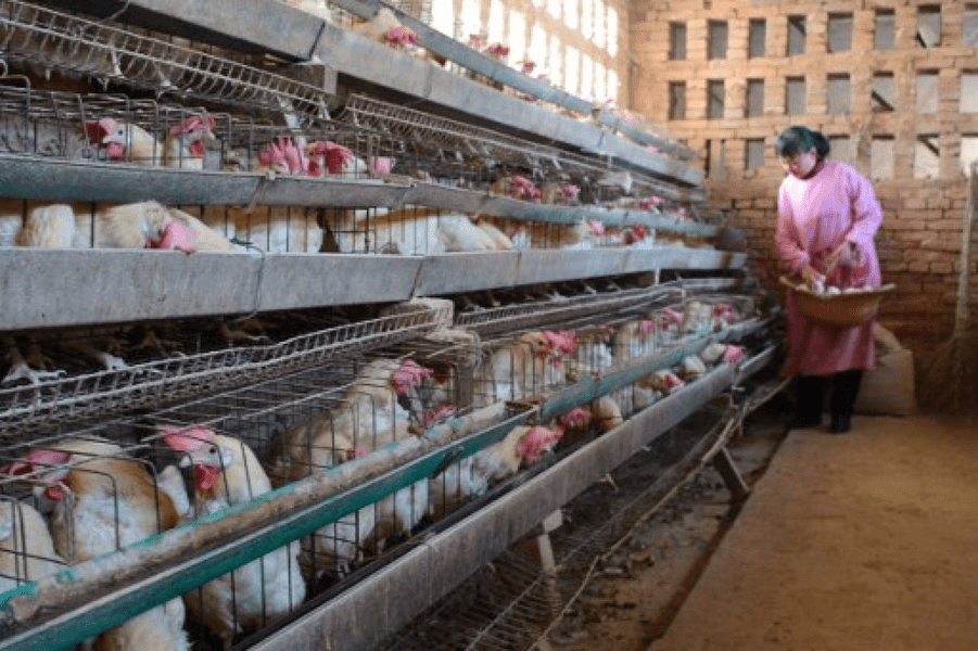 Pandemia care ne pândește: „E potențial mai periculoasă decât COVID-19”