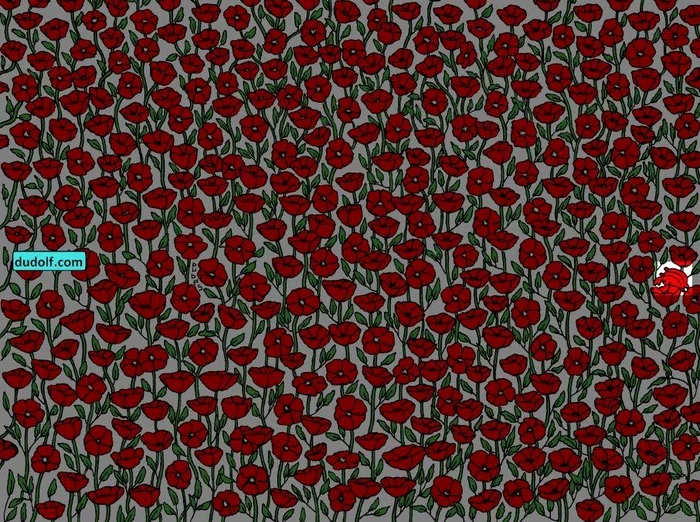 Rezolvarea testului / foto: dudolf.com