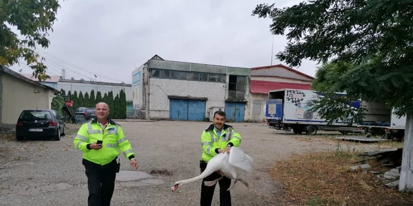 politie lebada
