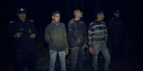 Jandarmii au întocmit hoţilor, dosare penale pentru furt calificat