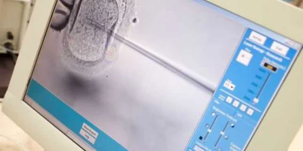 in vitro