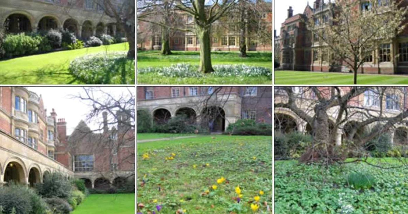 Colegiul Sidney Sussex din cadrul Universităţii Cambridge, Marea Britanie, în topul rapoartelor de disciplină ale Poliţiei Foto:sid.cam.ac.uk