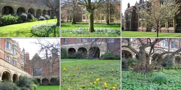 sidney sussex cambridge