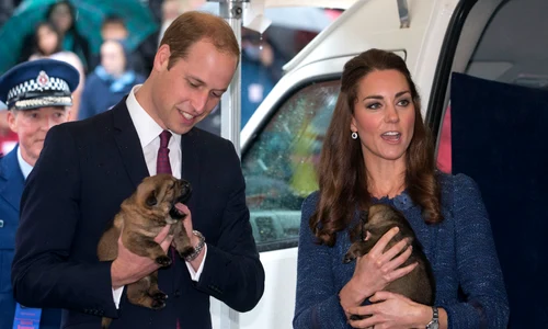Kate Middleton și Prințul William cu câini foto GettyImages 484989837 jpg