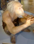 Omul de Neanderthal, reconstituire la Muzeul de Istorie Naturală din Viena (© Wolfgang Sauber / Wikimedia Commons)