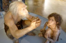 Omul de Neanderthal, reconstituire la Muzeul de Istorie Naturală din Viena (© Wolfgang Sauber / Wikimedia Commons)