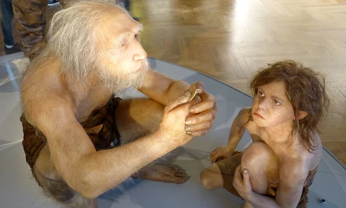 Omul de Neanderthal, reconstituire la Muzeul de Istorie Naturală din Viena (© Wolfgang Sauber / Wikimedia Commons)
