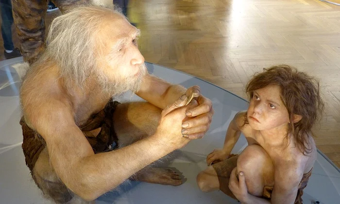 Omul de Neanderthal, reconstituire la Muzeul de Istorie Naturală din Viena (© Wolfgang Sauber / Wikimedia Commons)