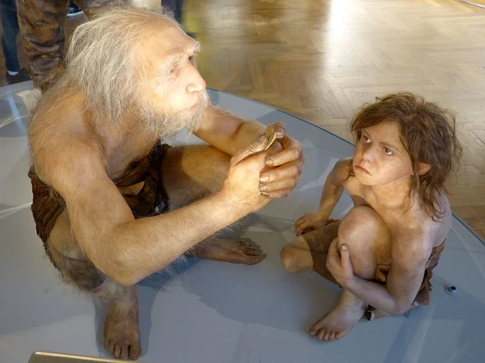 Omul neanderthal, reconstituire / foto: Muzeul Național de Istorie Viena