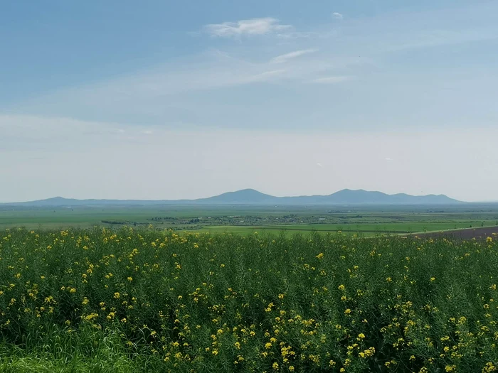 Panoramă de pe deal FOTO Ștefan Both