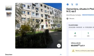 garsoniera anaf webp