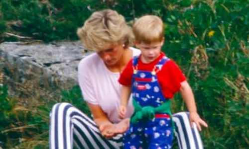 1435872178 gettyimages 461113028 jpeg