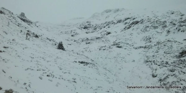 avalansa