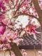Poza de cover  Cum sa creezi un colt de poveste cu ajutorul magnoliilor  Sfaturi si recomandari practice Magnolie, flori, casa, curte, gradina jpg