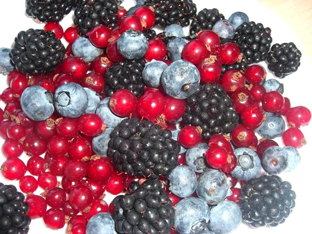 Fructe de pădure