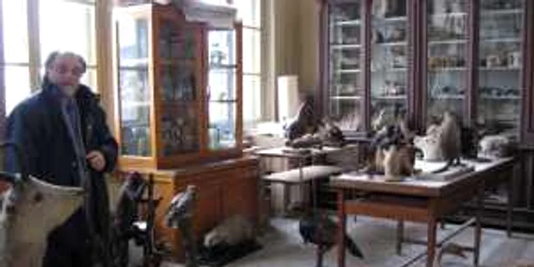Directorul priveşte cu amărăciune animalele împăiate acoperite de praf