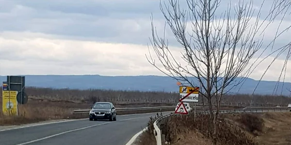 ramnicelu