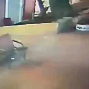 WhatsApp Video 2026 02 14 at 18 53 02 mp4 thumbnail png