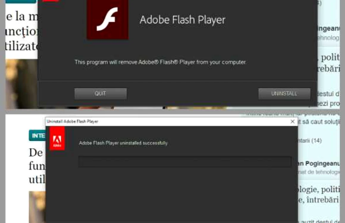 Dezinstalare Adobe Flash Player
