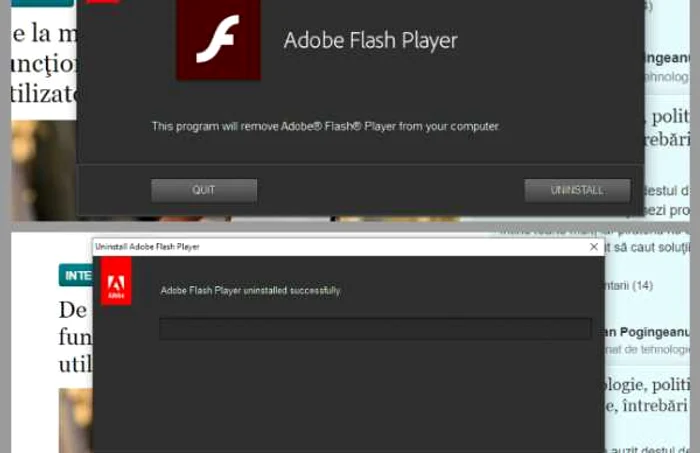 Dezinstalare Adobe Flash Player
