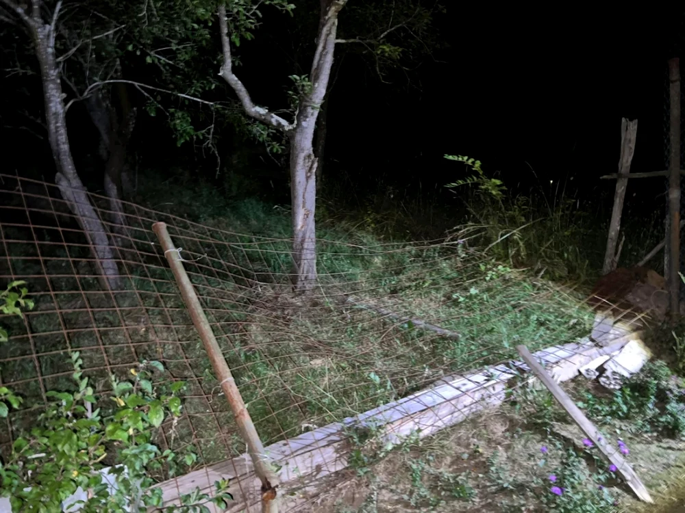 Gardul unei gospodării din Sălătrucel - Vâlcea rupt de un urs Foto Jandarmeria Vâlcea
