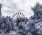 Imagini spectaculoase în infraroşu din Cernobil FOTO Photoland Catersnews Vladimir Migutin