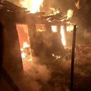 incendiu adapost animale FOTO ISU Neamț jpg