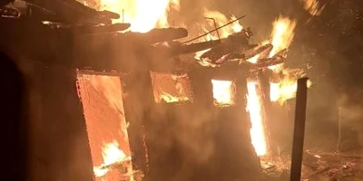 incendiu adapost animale FOTO ISU Neamț jpg