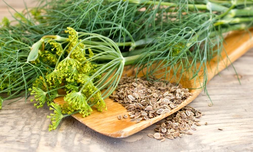 1 seminte marar jpg jpeg