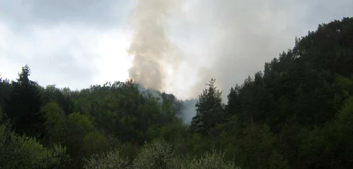 S-a reaprins incendiul în pădurea de răşinoase de pe muntele Puru