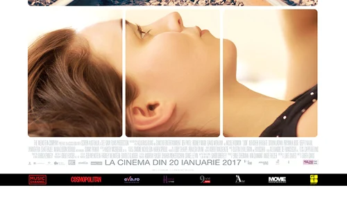 lion 128431l 1600x1200 n d27c6aca jpeg