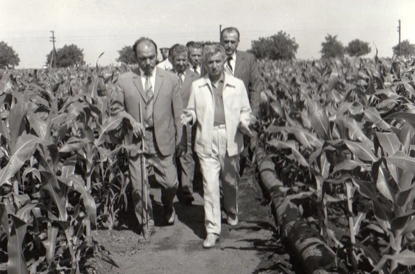 Vizita lui Nicolae Ceaușescu într-una din fermele cultivate cu porumb ale I.A.S. Amzacea, județul Constanța (© „Fototeca online a comunismului românesc”, cota: 91/1979) 