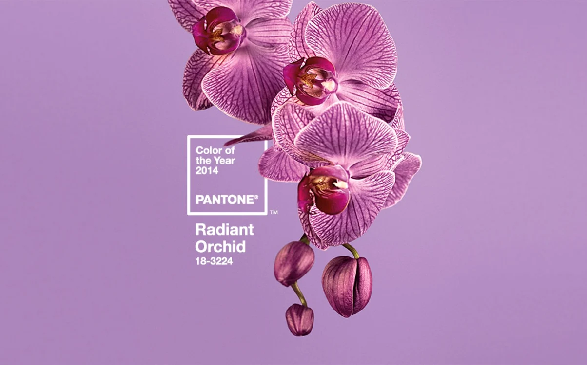 Culoarea anului în casa ta Sursă foto: Pantone, Pinterest