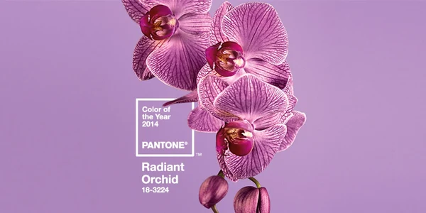 radiant orchid 