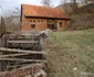 Cheile Cibului Foto Daniel Guță ADEVĂRUL (95) JPG