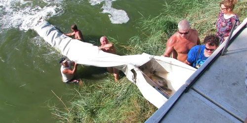 Peștii au fost aduși din Ungaria