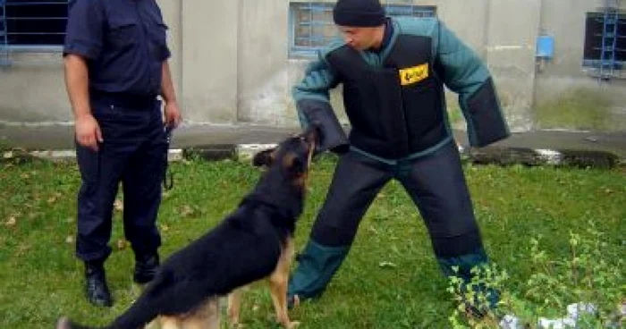 Târgu-Mureş: Amenzi de 1.900 de lei aplicate de jandarmi