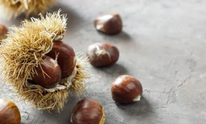 4912b479 b35a 4594 aa11 751a9c9e90e9 jpeg