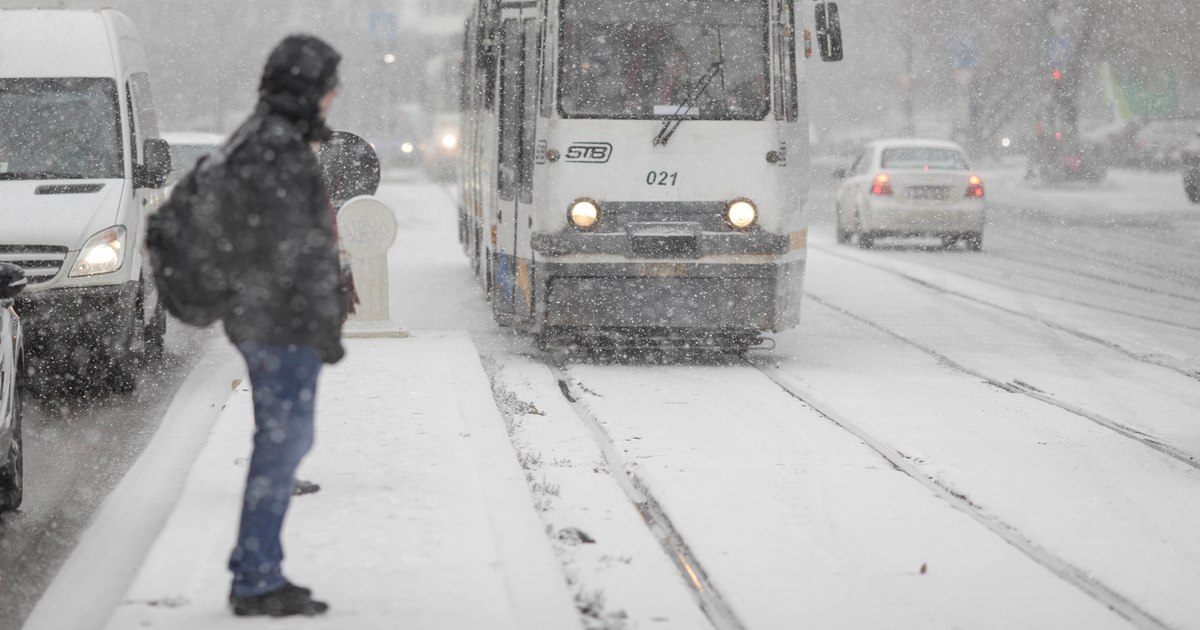 Ninsori prognozate în București, temperaturile se vor reduce semnificativ în zilele următoare.