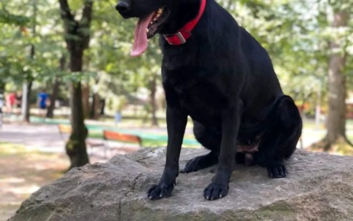 teba. foto arhiva personala