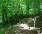Cetatea dacică Bănița  Foto Muzeul Civilizației Dacice și Romane din Deva (4) jpg