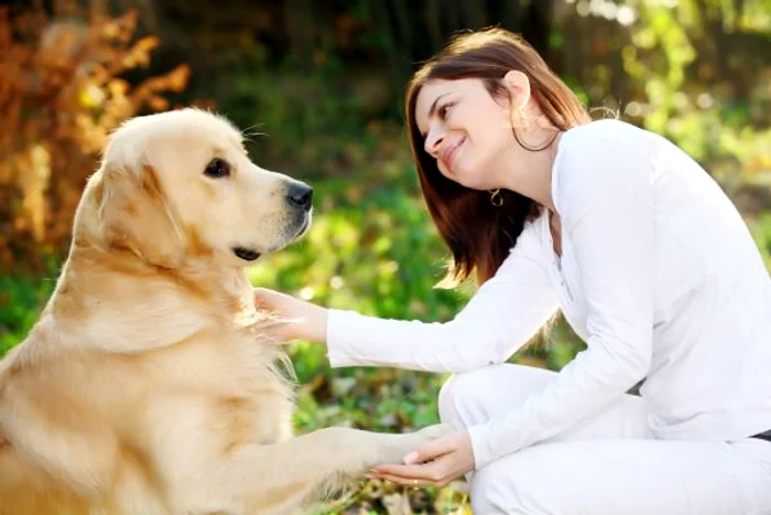 
    Câinii de companie te învaţă să fii optimist, loial, curajos şi cum să iubeşti necondiţionat  